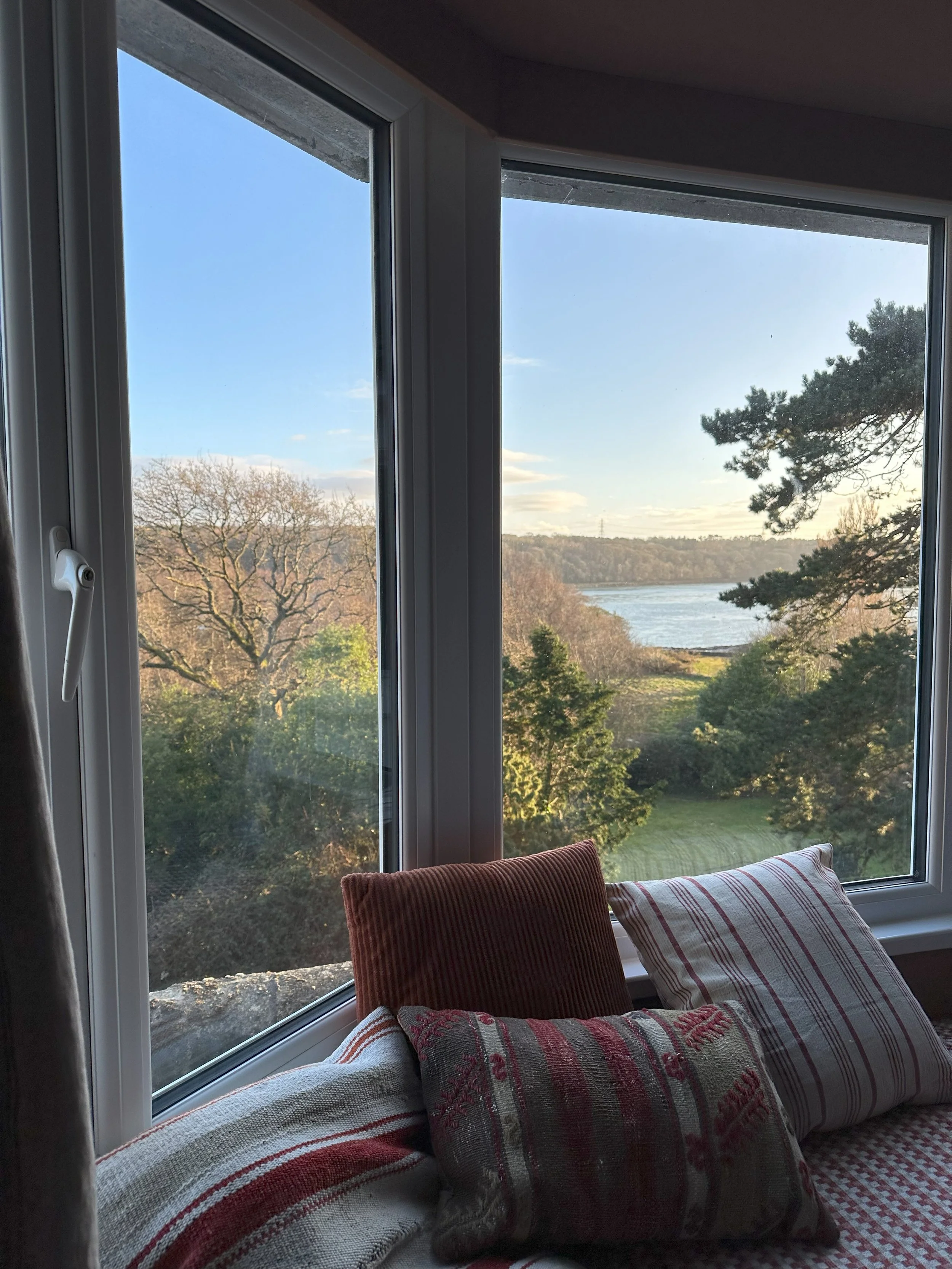 View of a river and trees outside a window with cushions on a window seat inside.