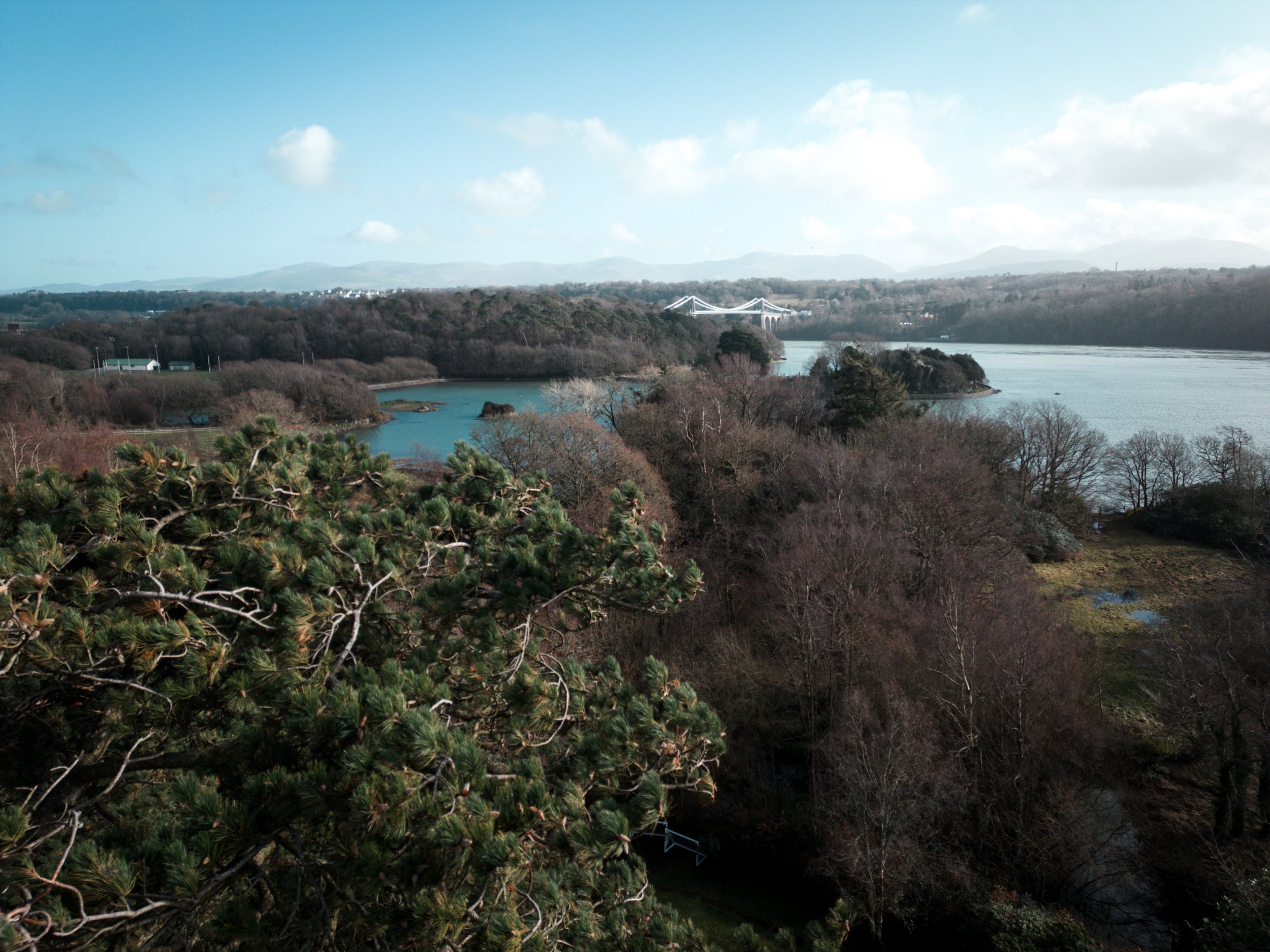 A scenic view of a river with trees and hills, some trees are bare, and a bridge in the distance