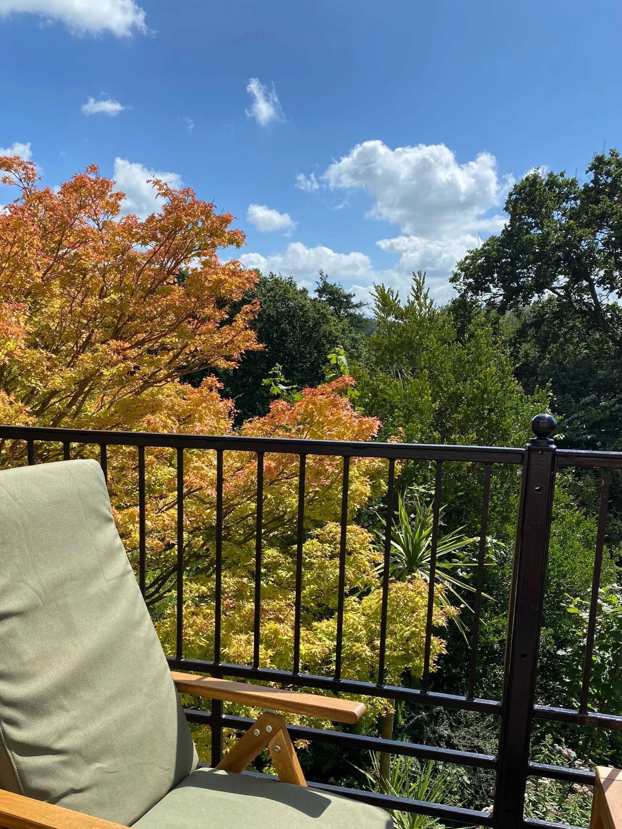A balcony railing overlooking trees with orange and green leaves under a partly cloudy blue sky.