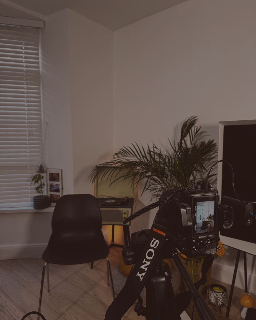 Interior of a room with a camera on a tripod, black chair, potted plant, vinyl record player, and window with blinds.