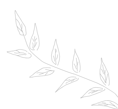 Outline drawing of a branch with leaves.