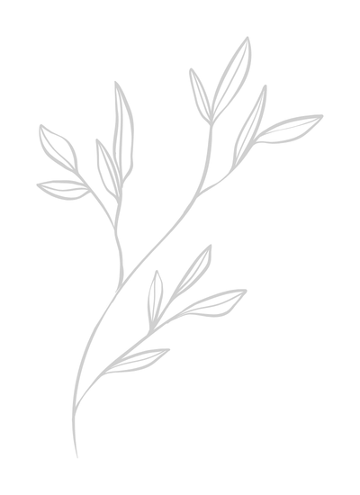 hand drawn leafy branch.