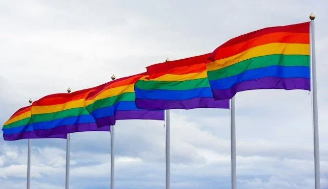A row of LGBTQIA+ flags