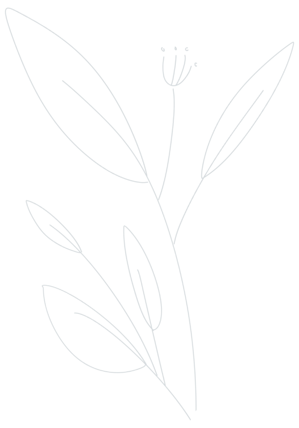 decorative hand drawn floral