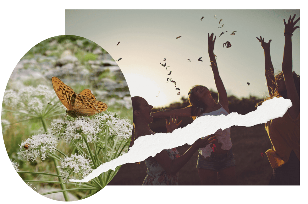 collaged image of hands up in the air, paper, and butterfly on flower.