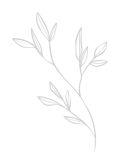Outline drawing of a branch with leaves.