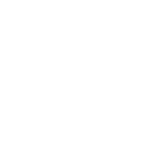 hand drawn leafy plant.