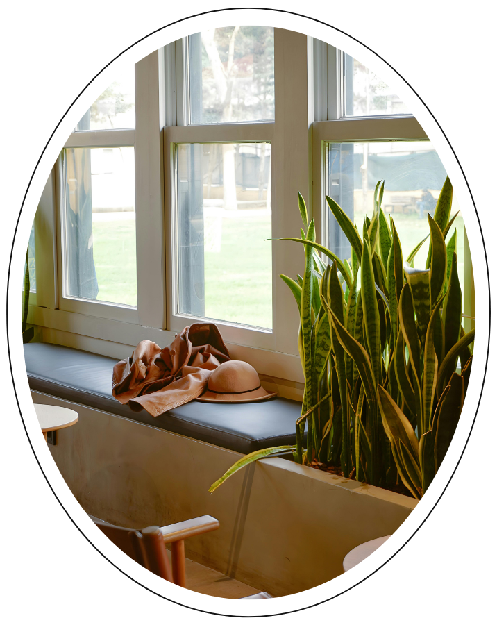 green plants growing in a window box in a cozy office.