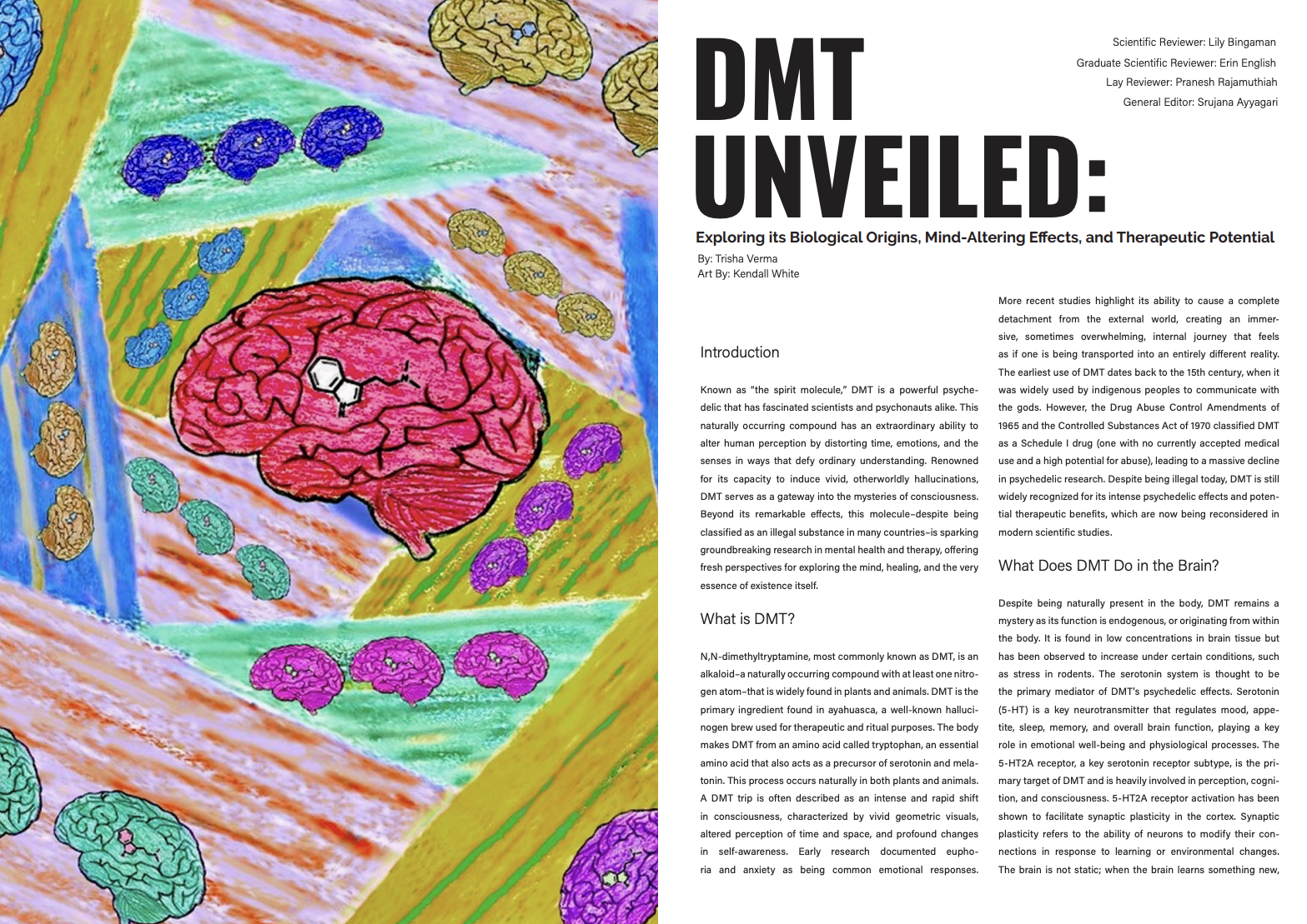 Screenshot 2026-02-24 at 10.36.34 AM.png