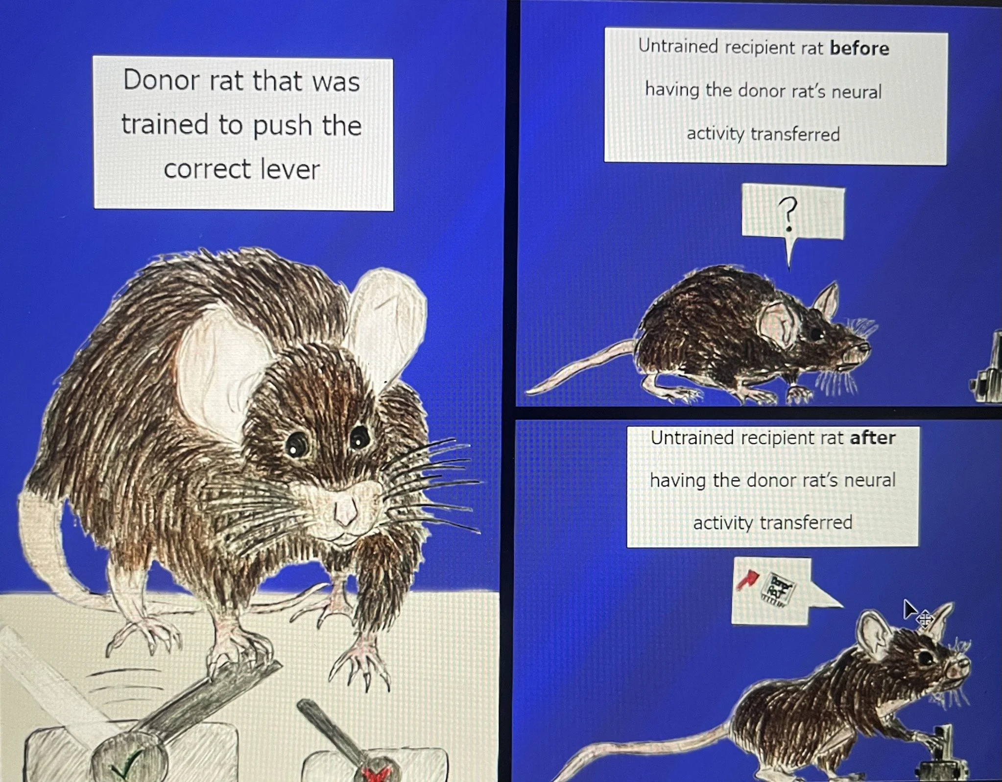 clear alt GM F23 piece 2.jpeg