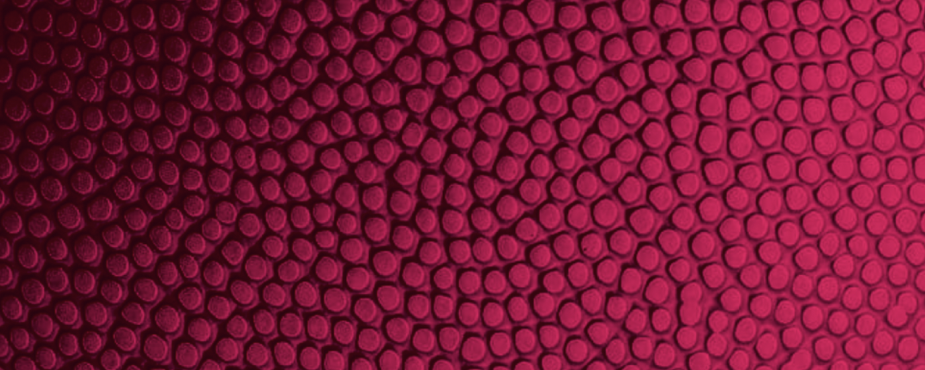 Screenshot 2025-11-21 at 12.21.11 PM.png