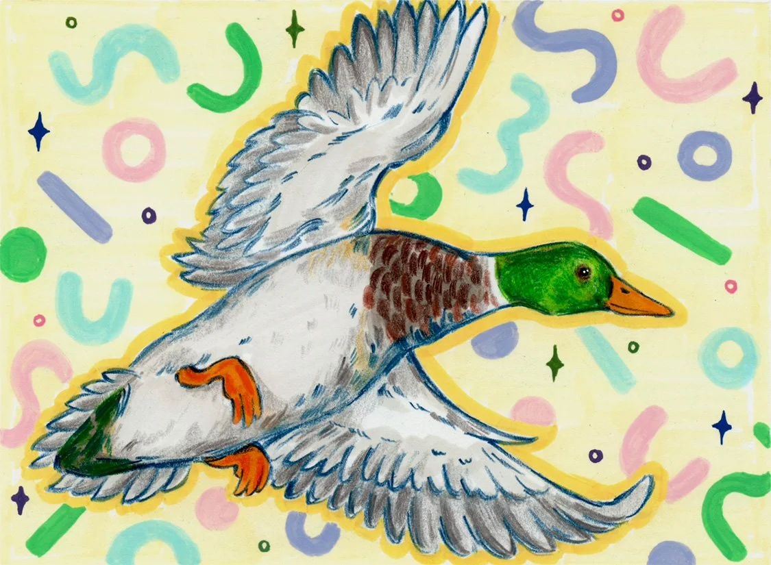 Duck Stamp