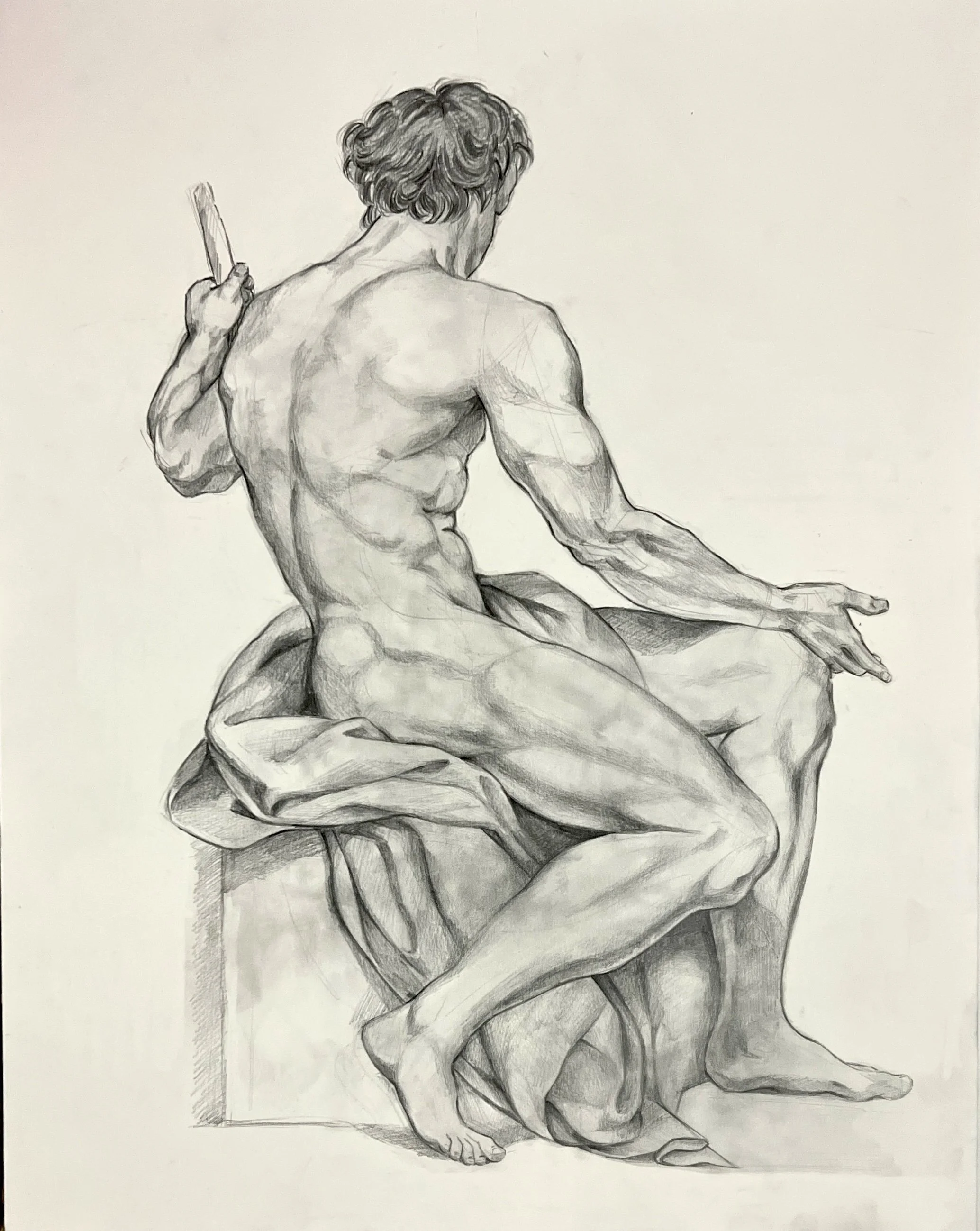 Studies