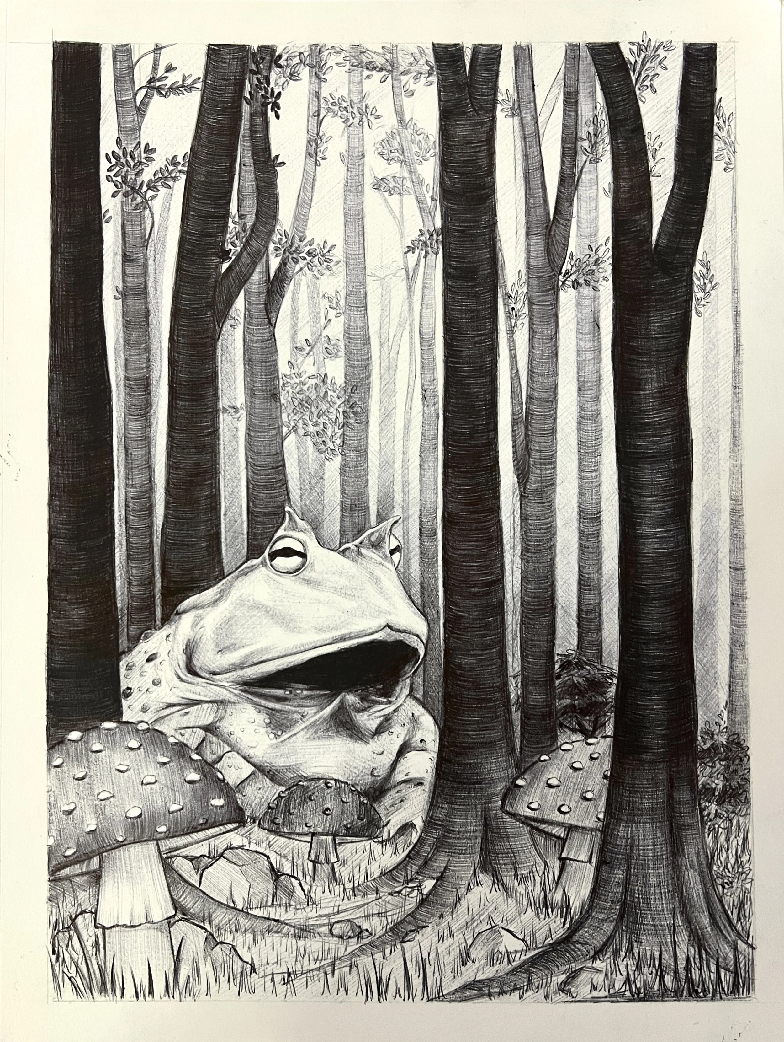 Mixed Media Drawings