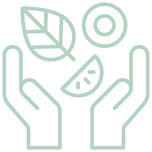 Outline drawing of two hands holding a lemon slice, a leaf, and a circular object, all depicted in light green lines.
