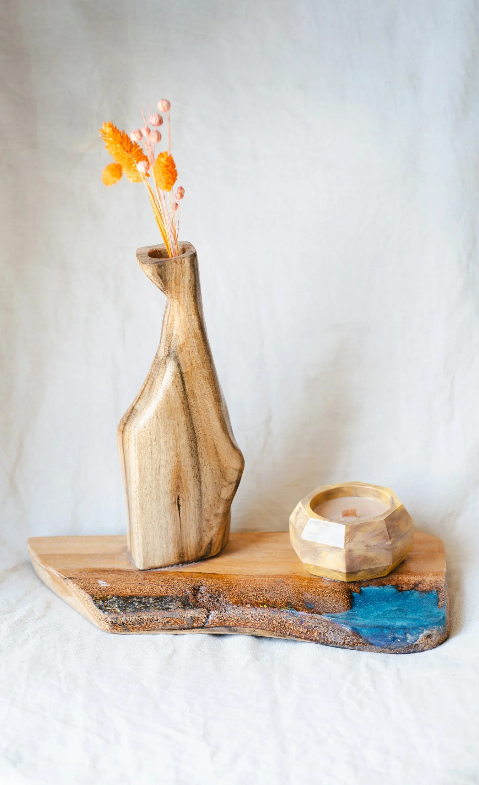 A green plant with vibrant leaves growing amidst brown, dried, curled leaves.