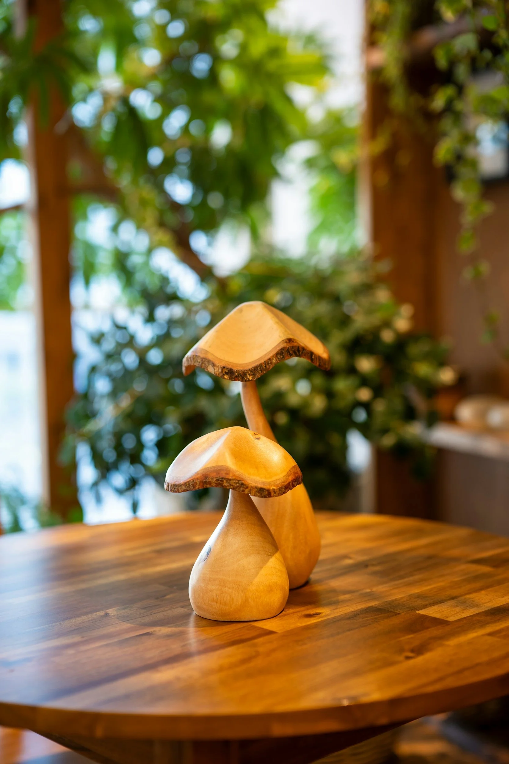 Aerial view of a winding dirt road through a dense green forest.