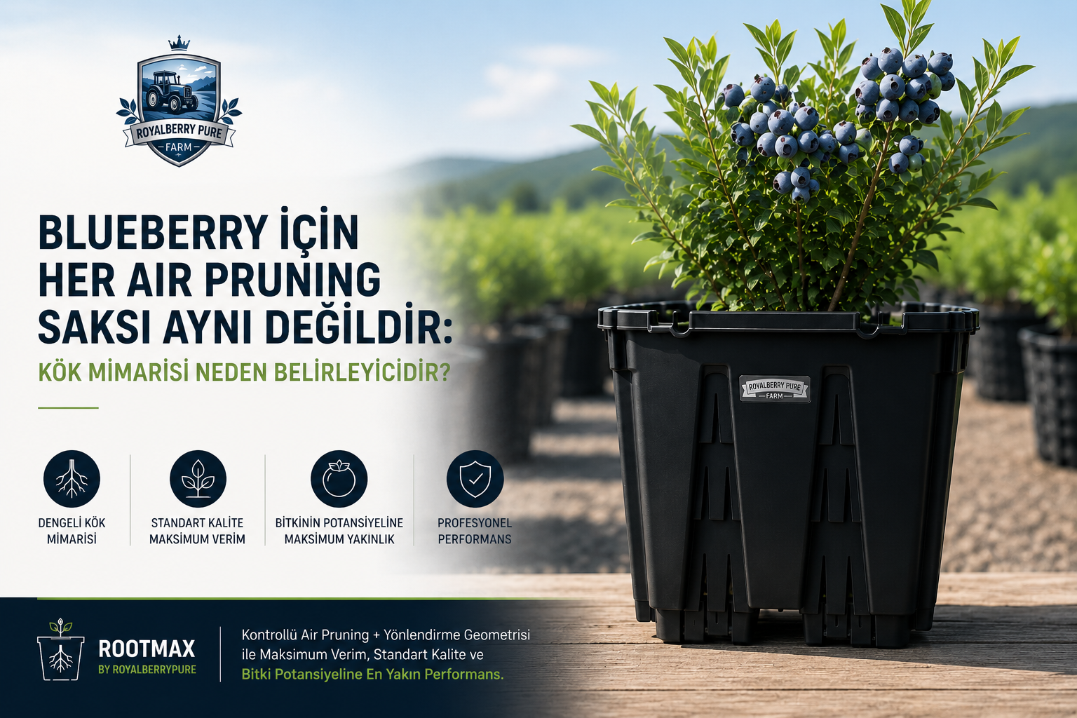 Blueberry İçin Her Air Pruning Saksı Aynı Değildir: Kök Mimarisi Neden Belirleyicidir?