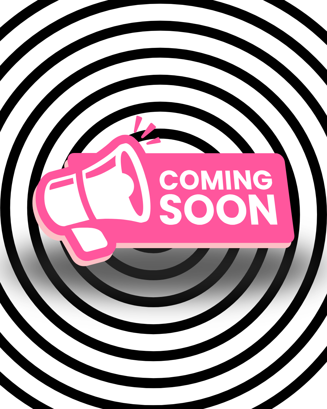 Sea Salted Chocolate Chip Cookie