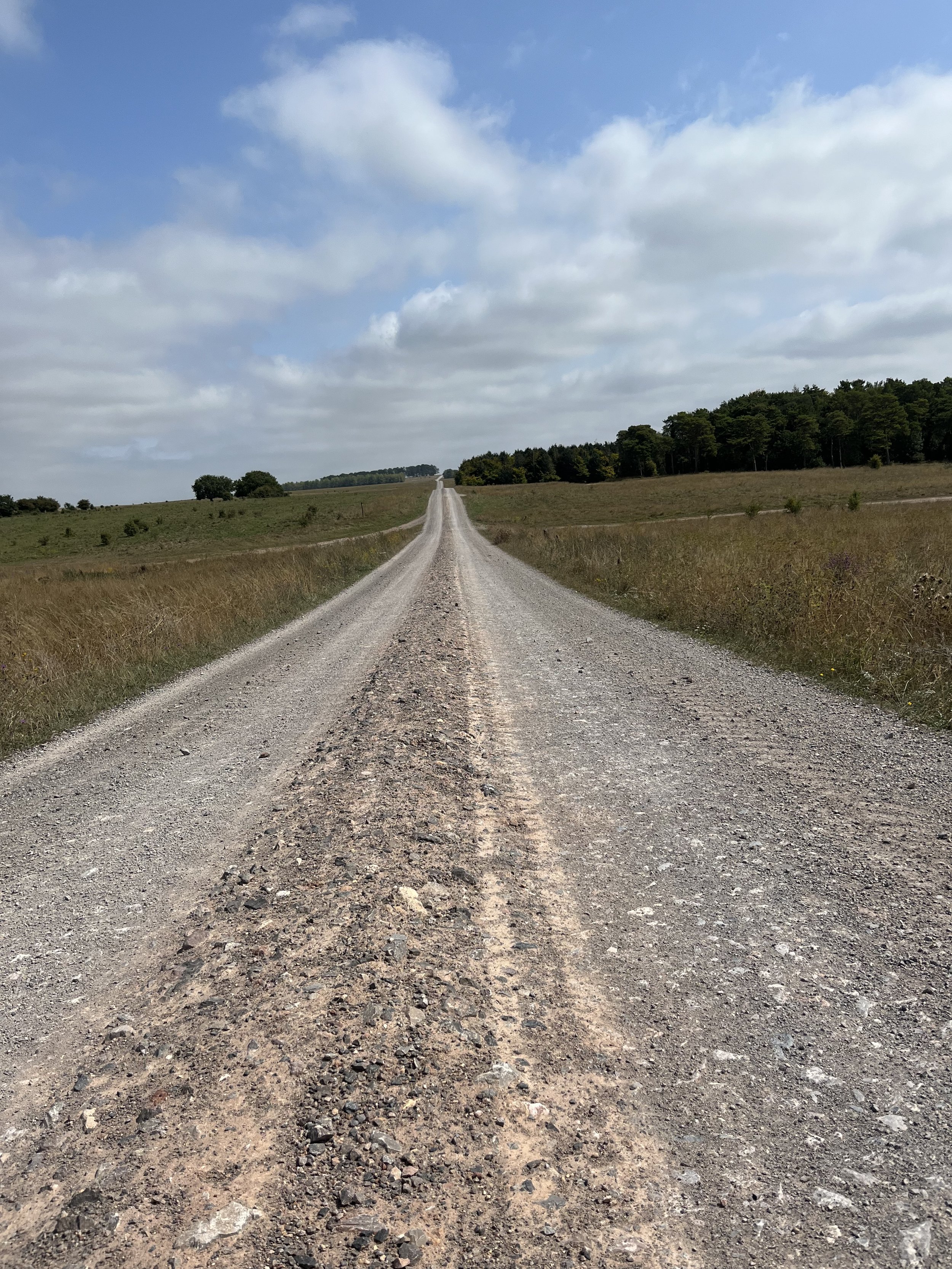 A long dirt road stretching into the horizon through open grassy fields with trees in the distance under a partly cloudy sky.