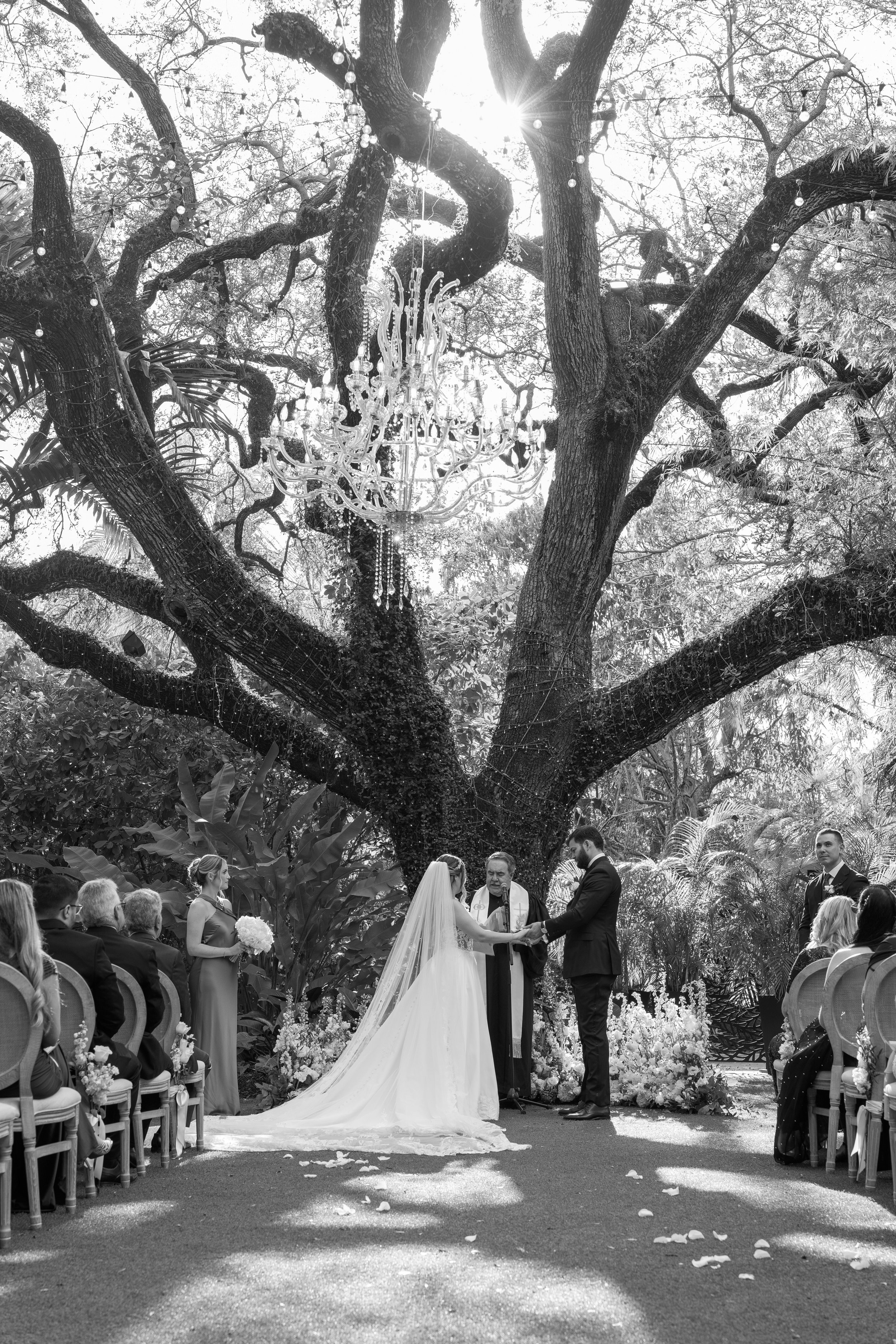 Romantic black and white wedding portrait under the historic Banyan tree at Villa Woodbine; fine art photography by Star Visual Art, Miami.