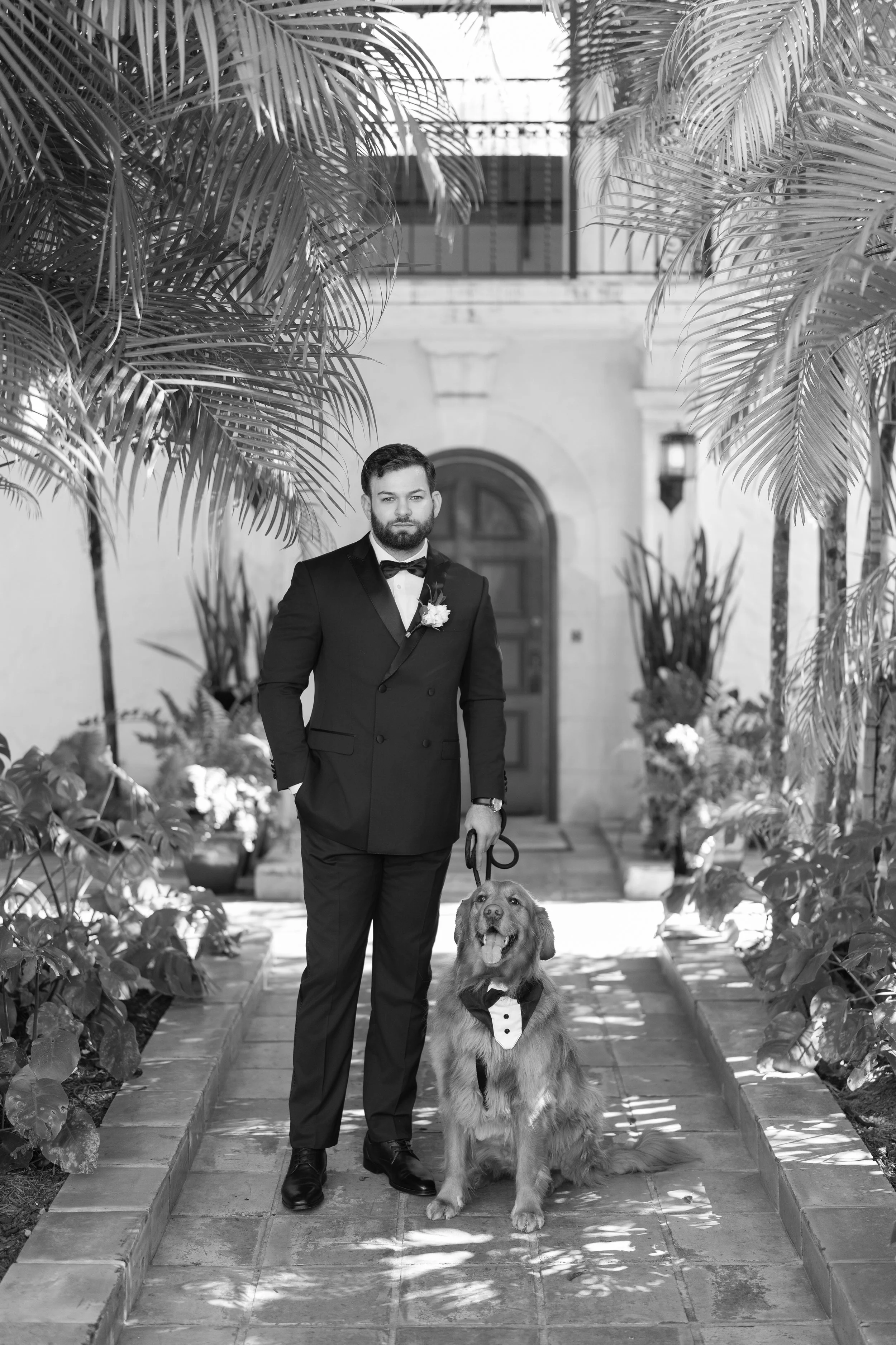 Sophisticated groom portrait with a dog in black and white; fine art wedding photography by Star Visual Art, Miami.