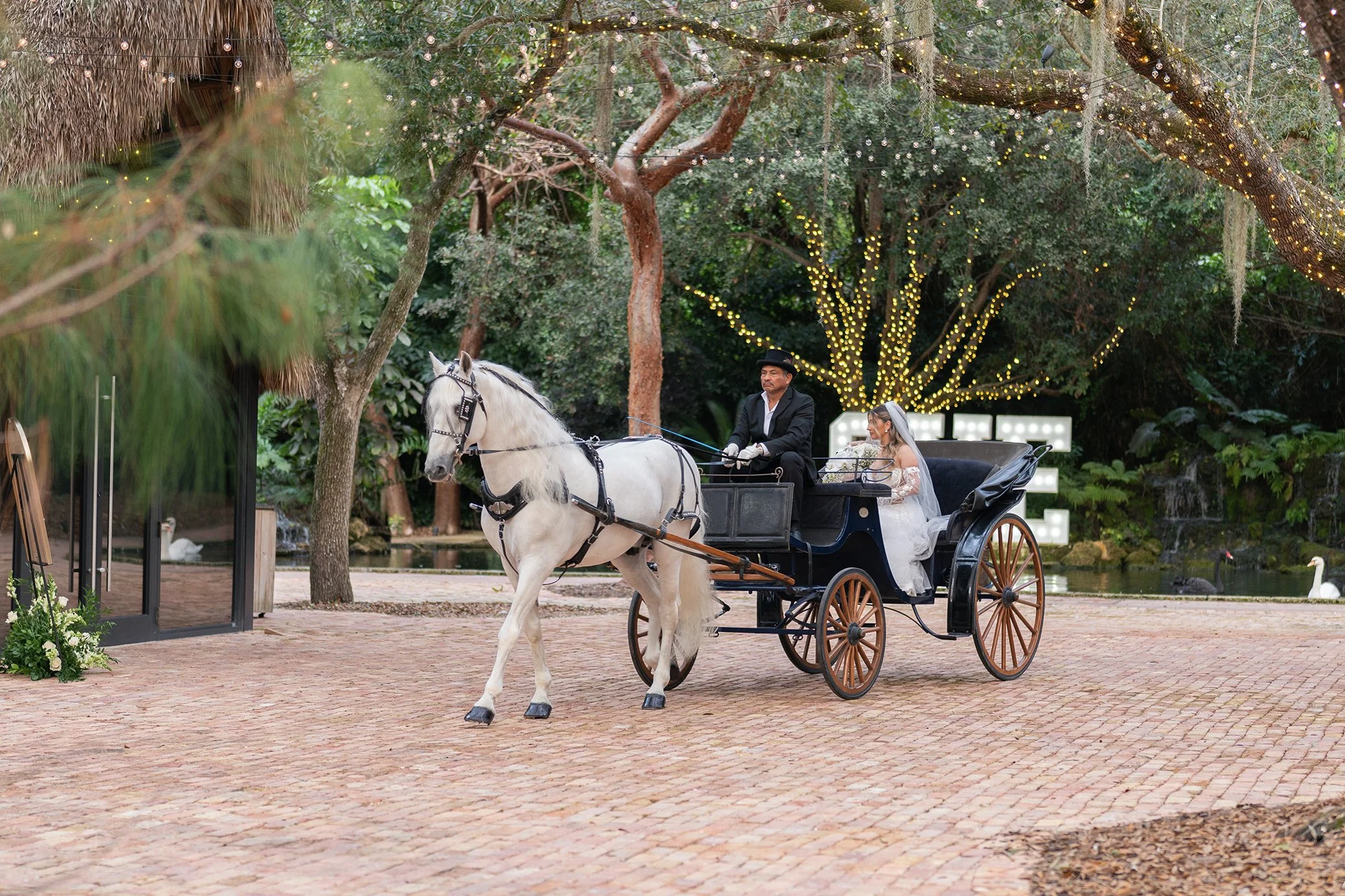 A bride and groom riding in a black horse-drawn carriage with white horses, in an outdoor setting decorated with string lights and illuminated trees, near a pond with swans.