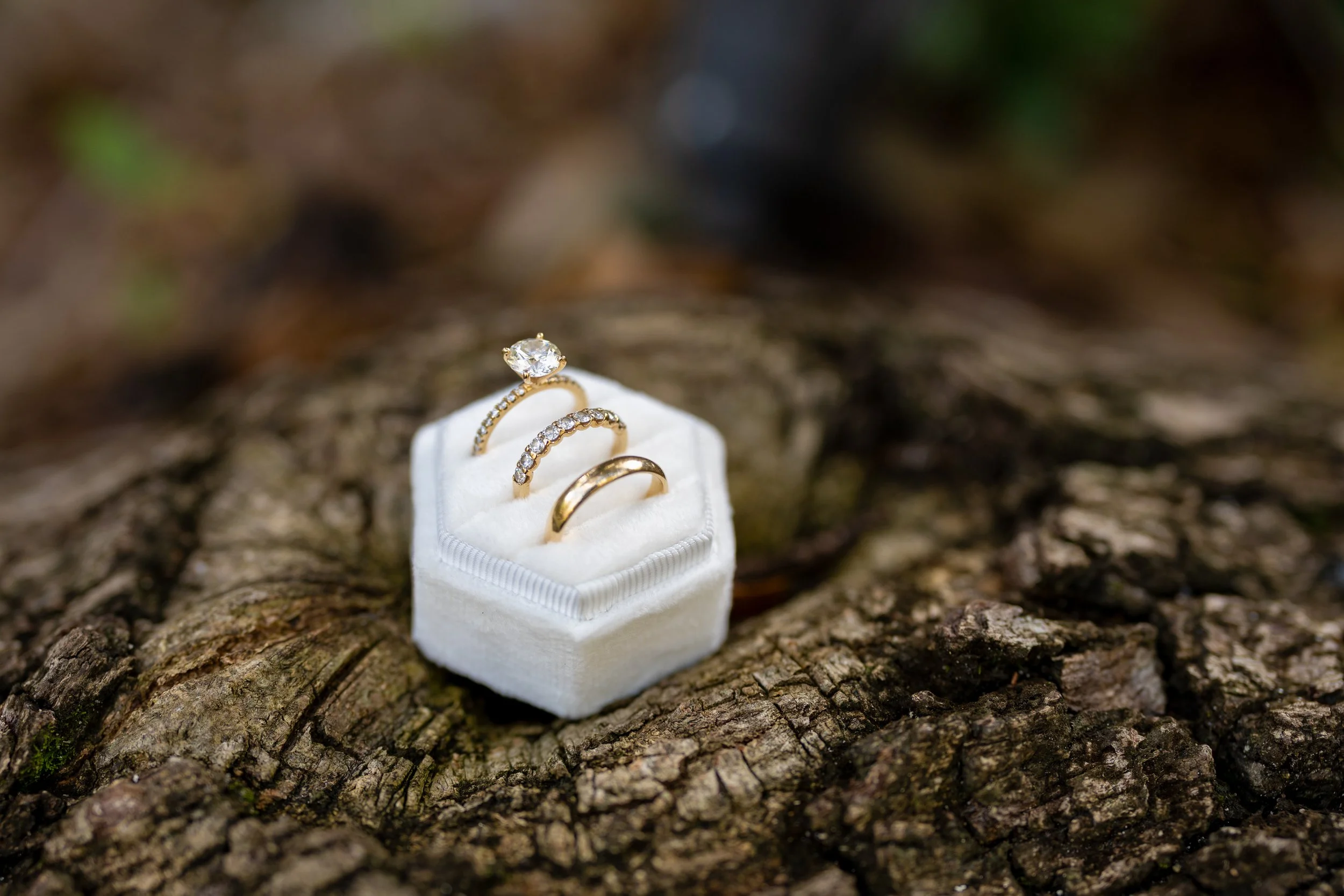 Three gold rings with diamond accents, displayed in a white ring box on a textured tree bark surface.