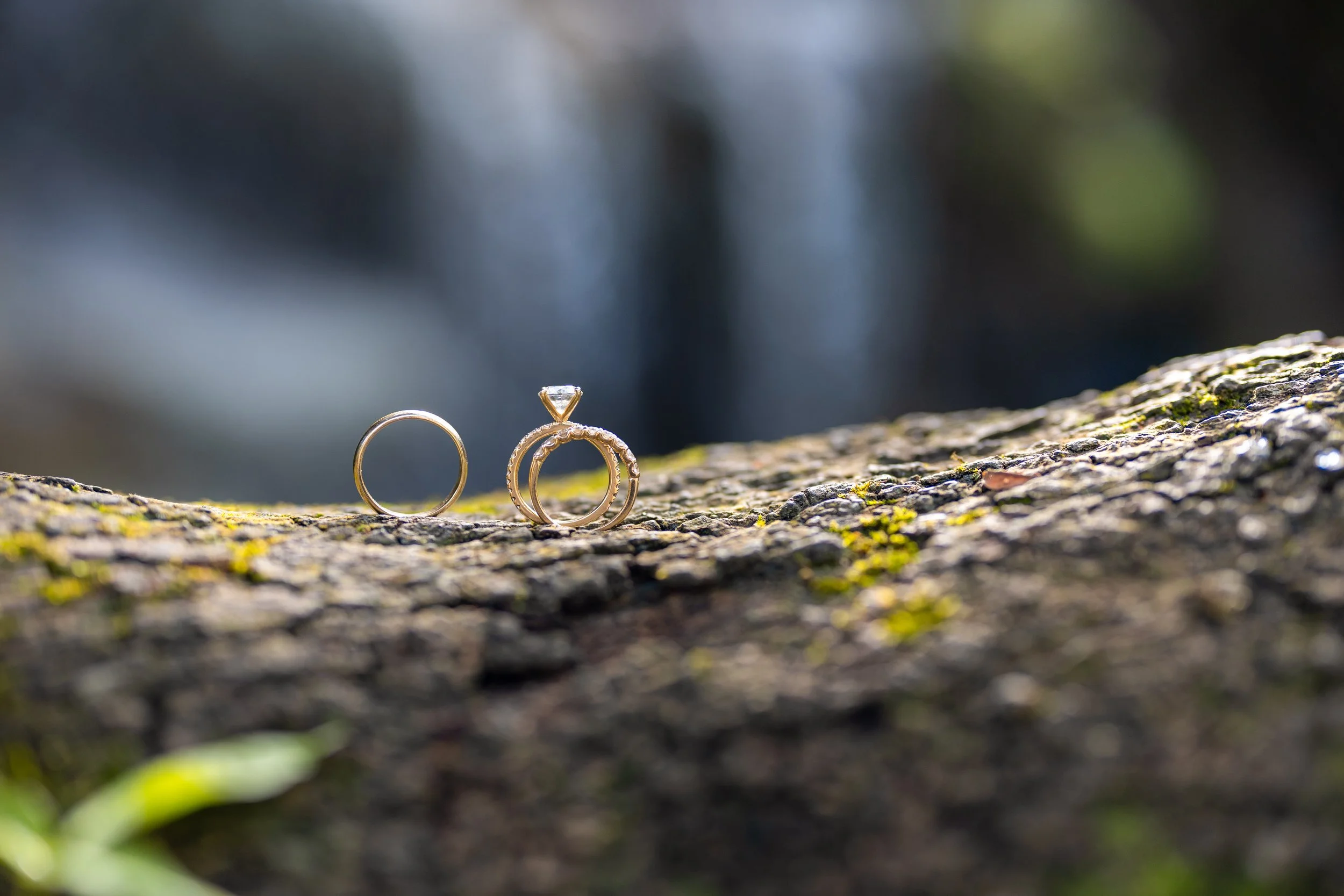 Close-up of two wedding rings resting on a textured tree branch, with a blurred natural background.