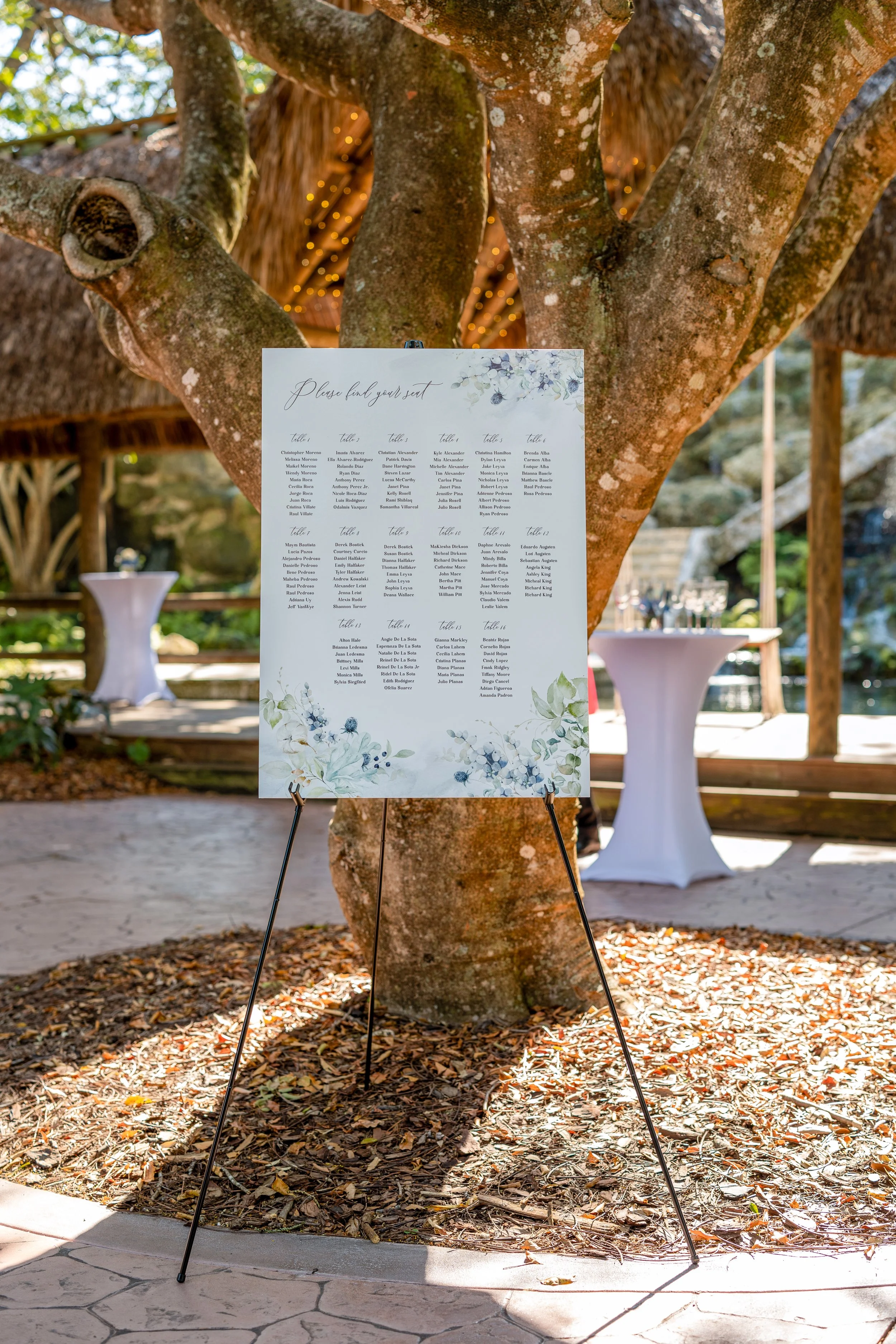 A wedding seating chart sign with floral design, placed on an easel in front of a large tree at an outdoor venue with sunlight and additional tables in the background.