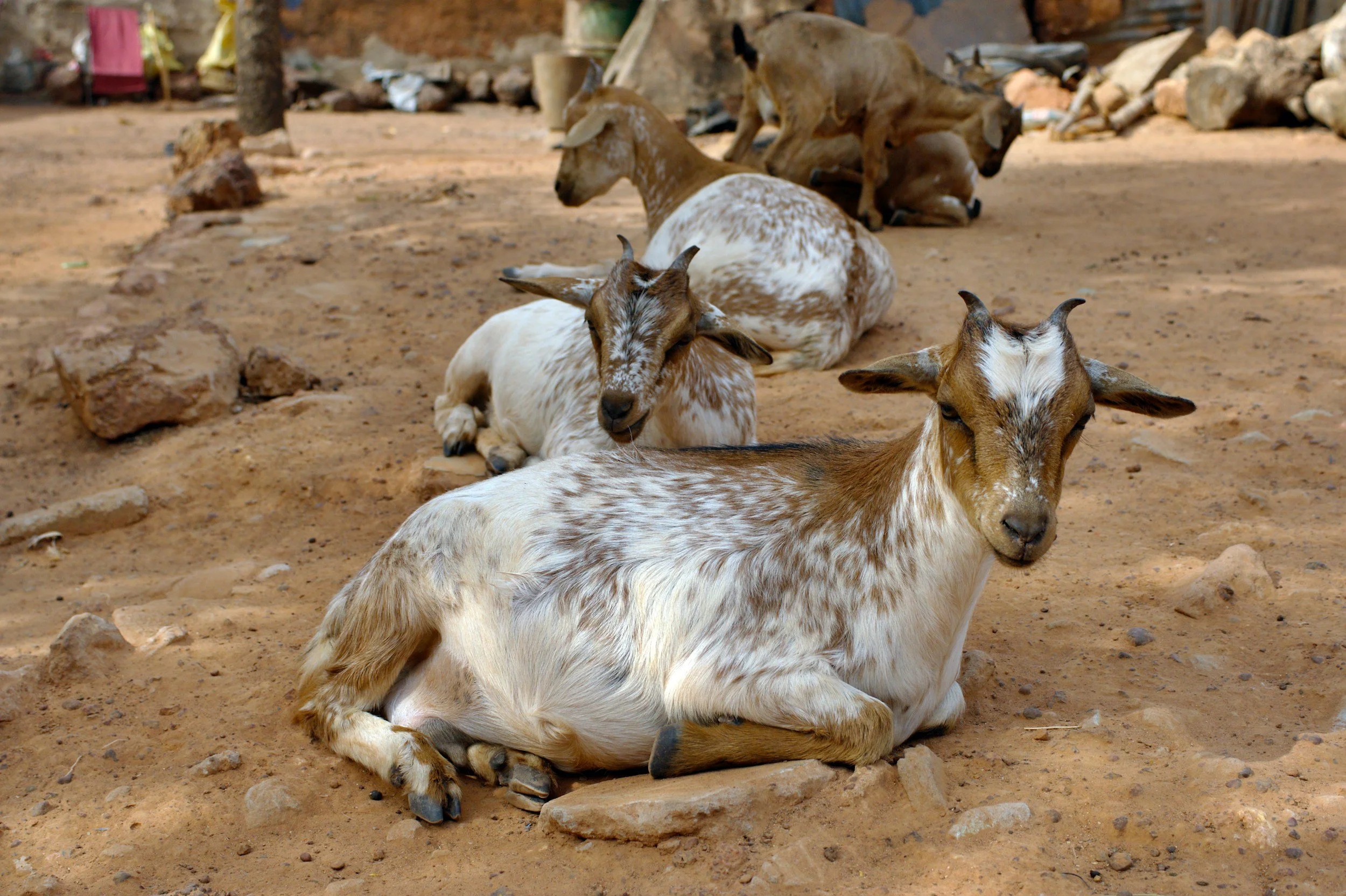 Burkina Faso
