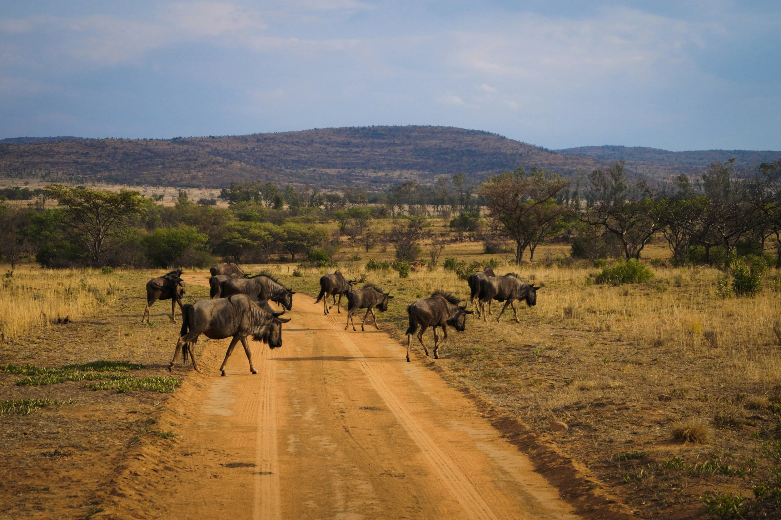 South Sudan