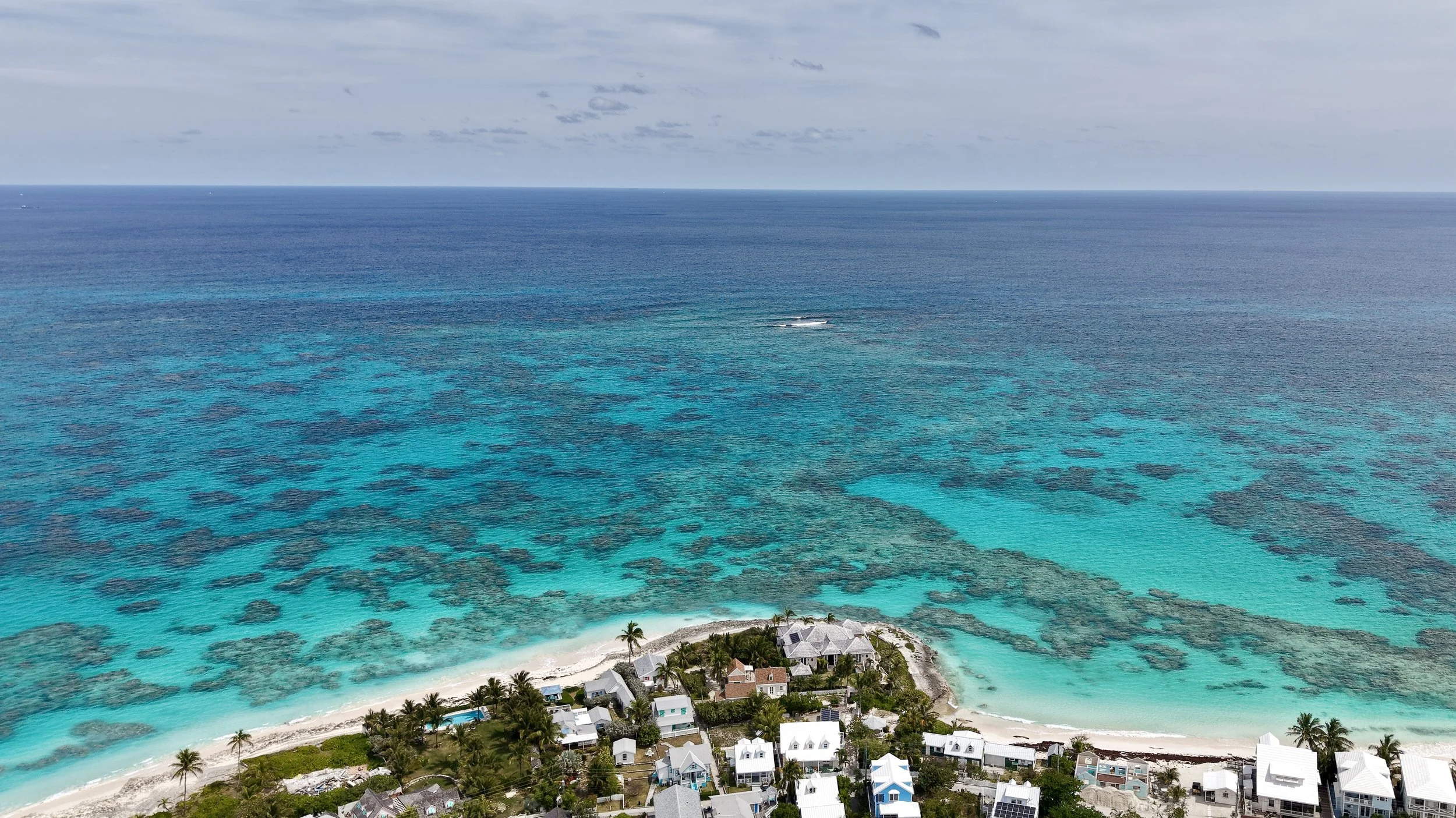 20250323_181247000_iOS (1).jpg