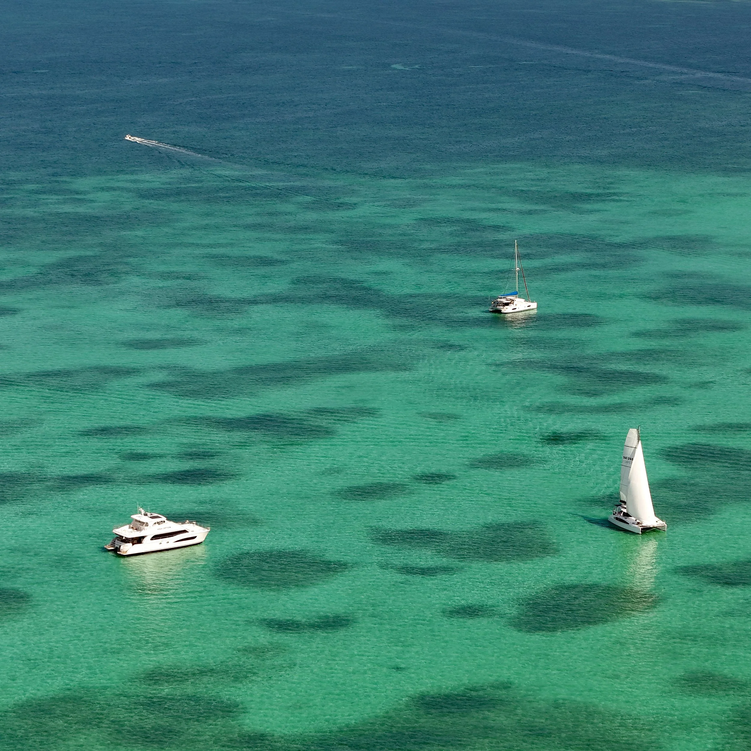 20250326_150200000_iOS (1).jpg