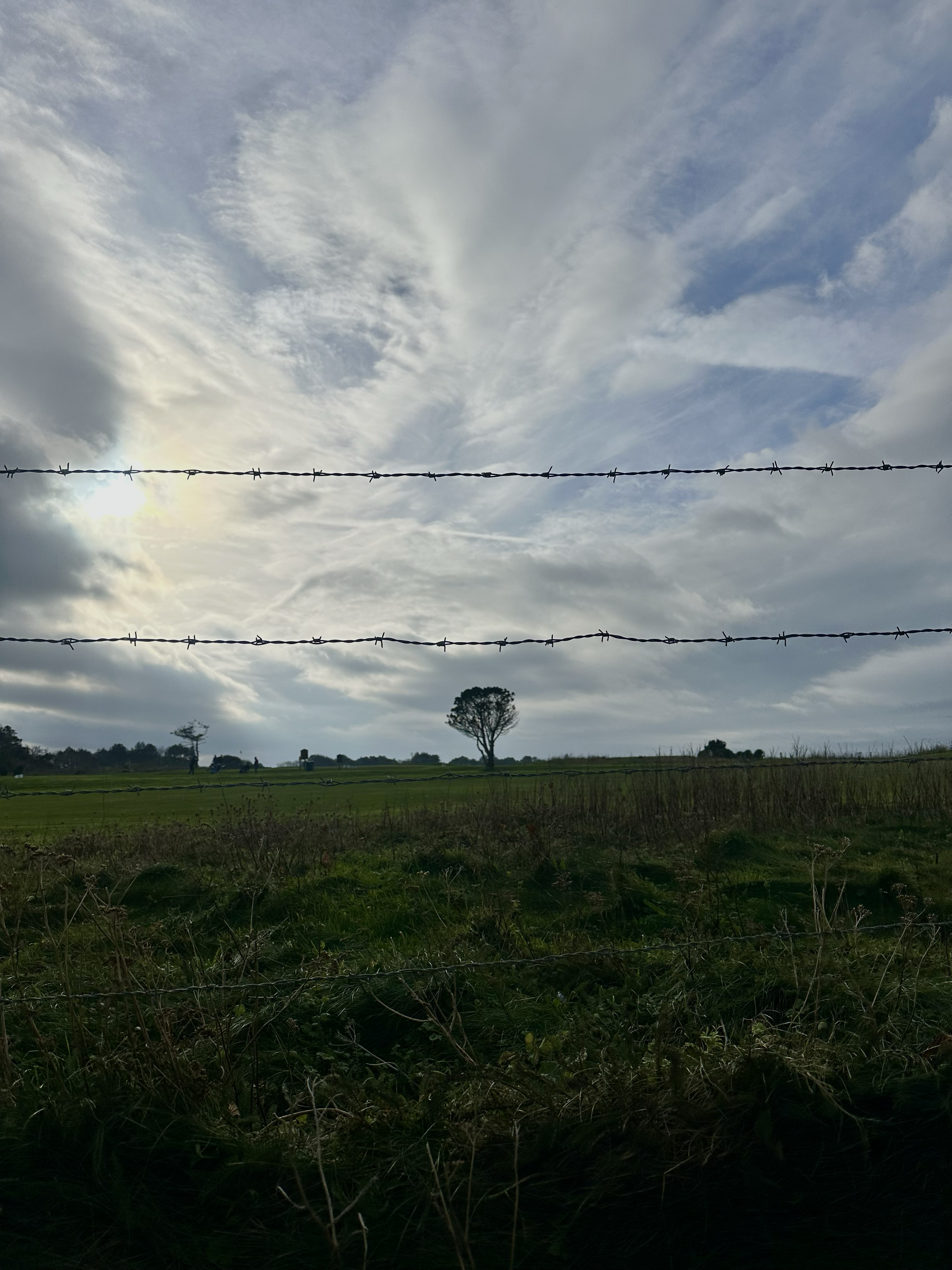 Champ vert avec un arbre et un ciel nuageux, vue à travers une barrière en fil de fer barbelé.