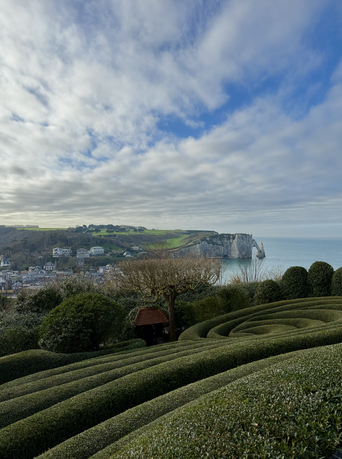Paysage avec des falaises blanches, la mer, un ciel partiellement nuageux, et un jardin bien entretenu avec des buissons et un arbre dénudé.