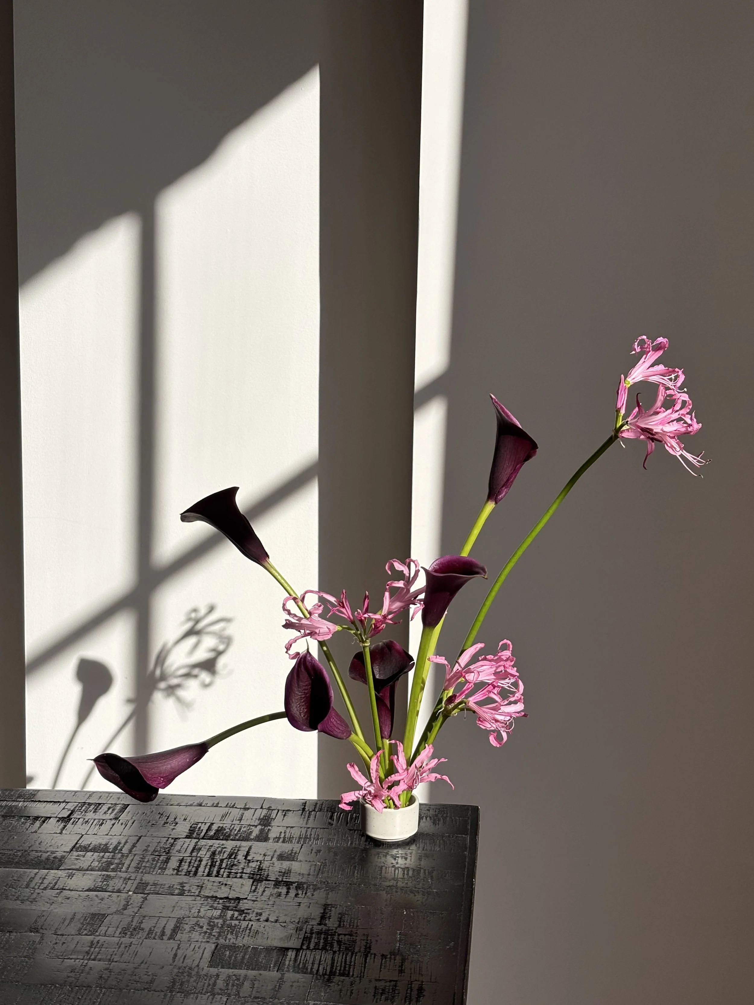 Pink orchids and dark purple calla lilies in a white vase on a dark wooden surface, with shadows cast on a white wall.