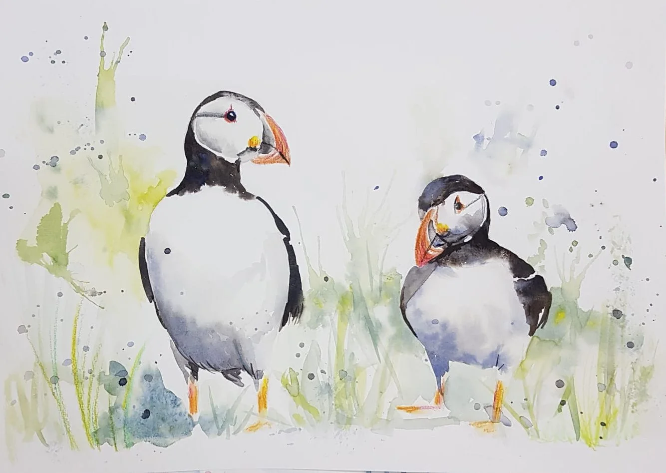 Watercolour Puffins!