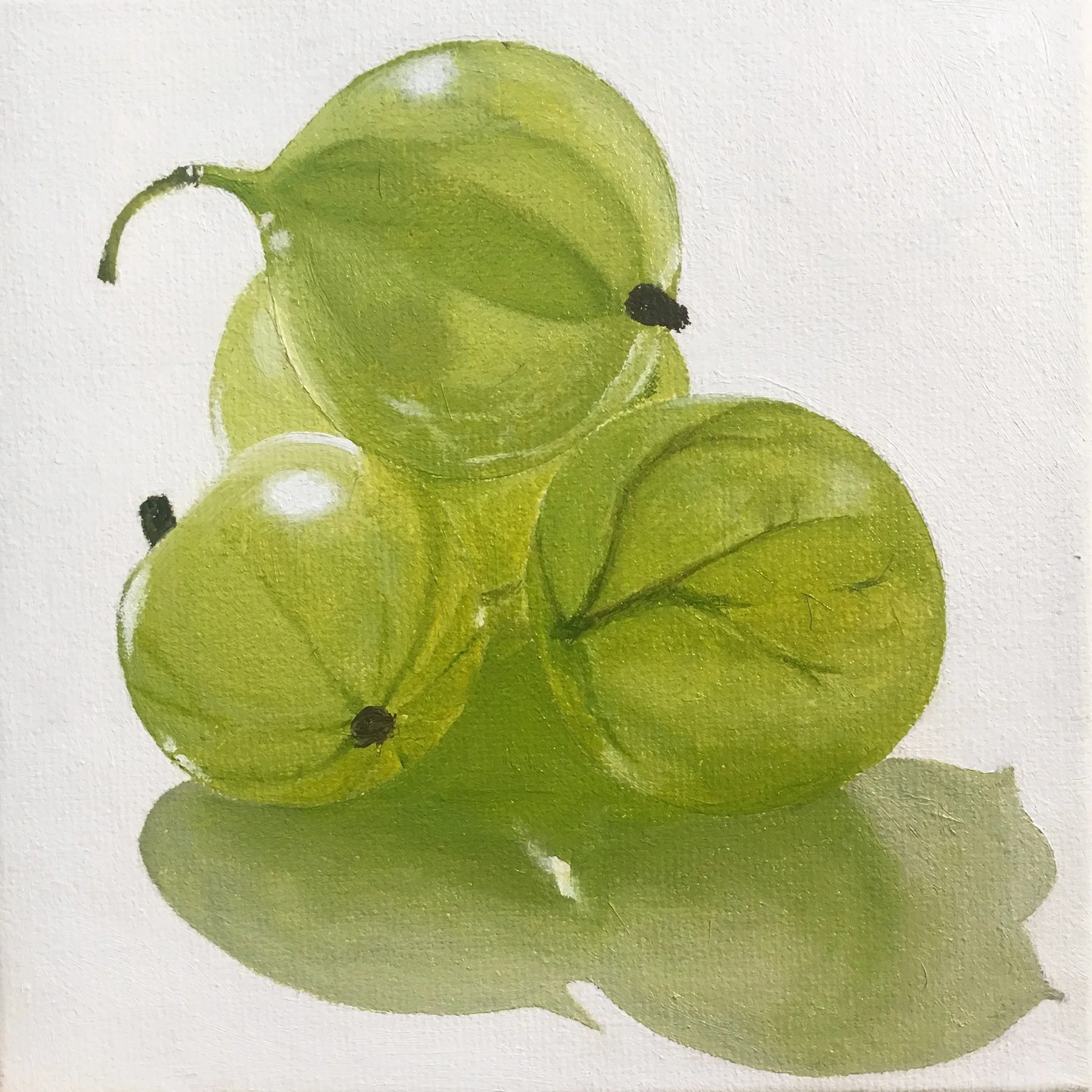 Gooseberries at Art For Life