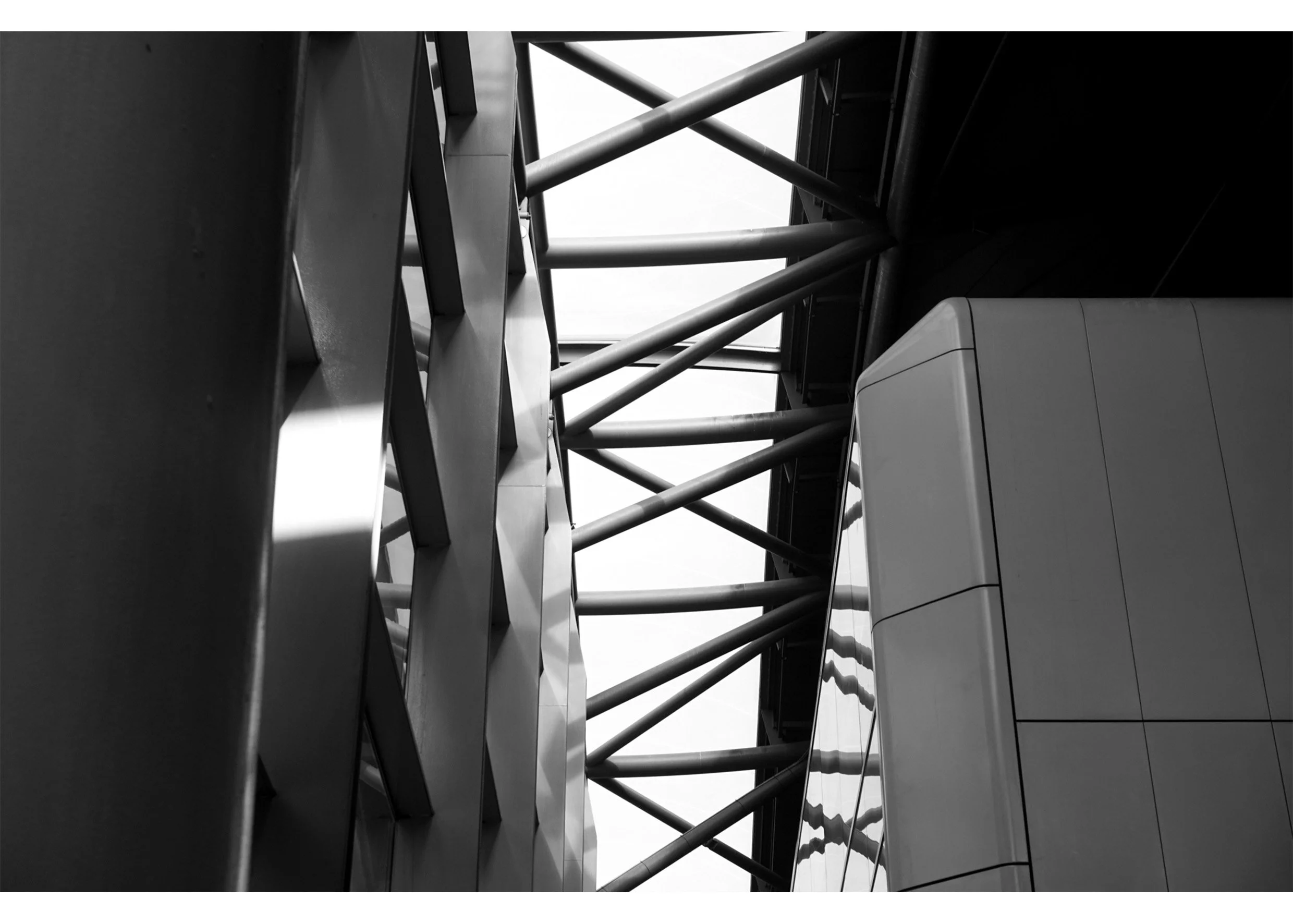 PHO1203 PHOTOGRAPH W4.jpg