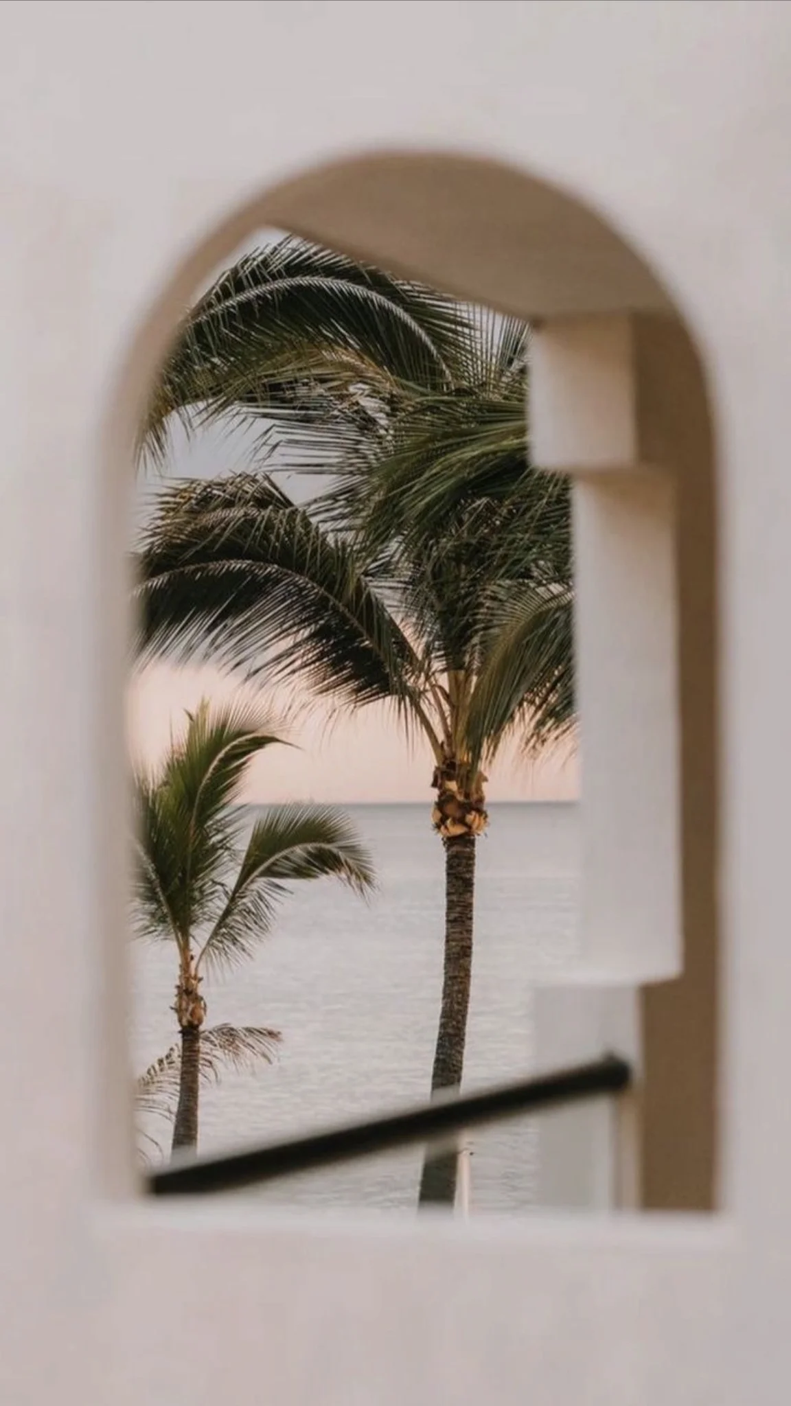 View of palm trees and the ocean through a window in Zanzibar, representing the Assalam summer camp project