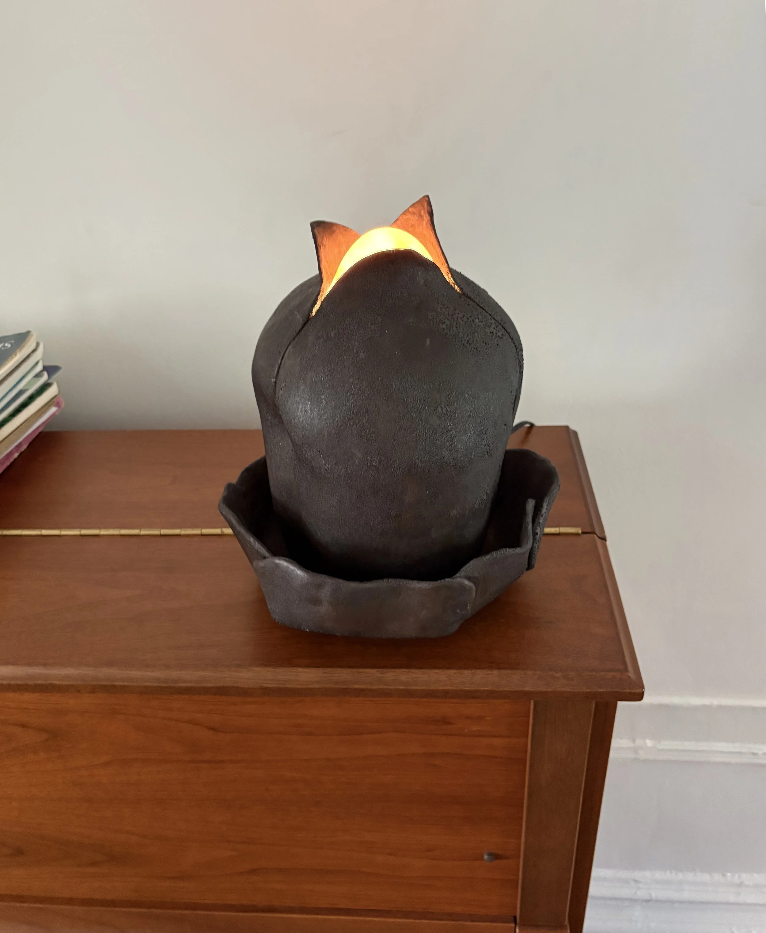 lamp 6 on med.jpg