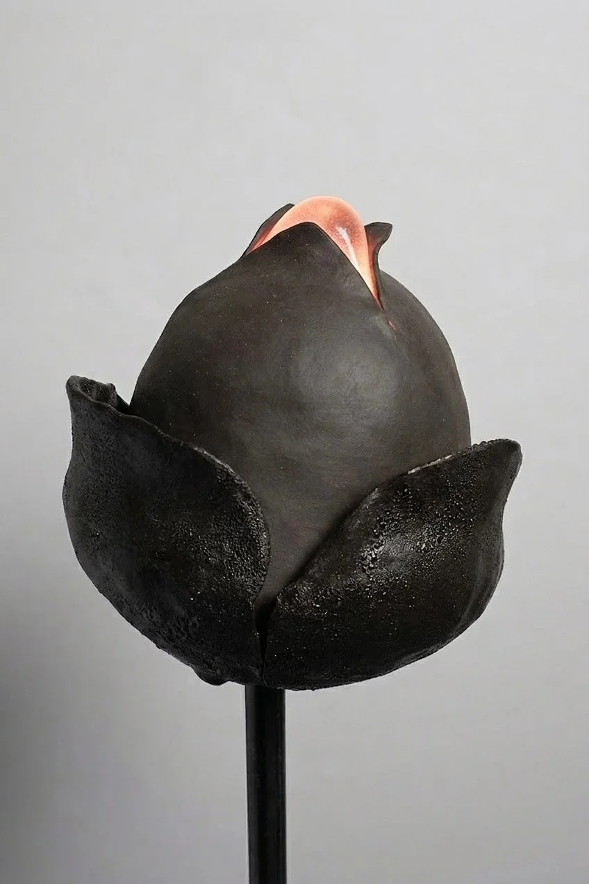 Black Tulip