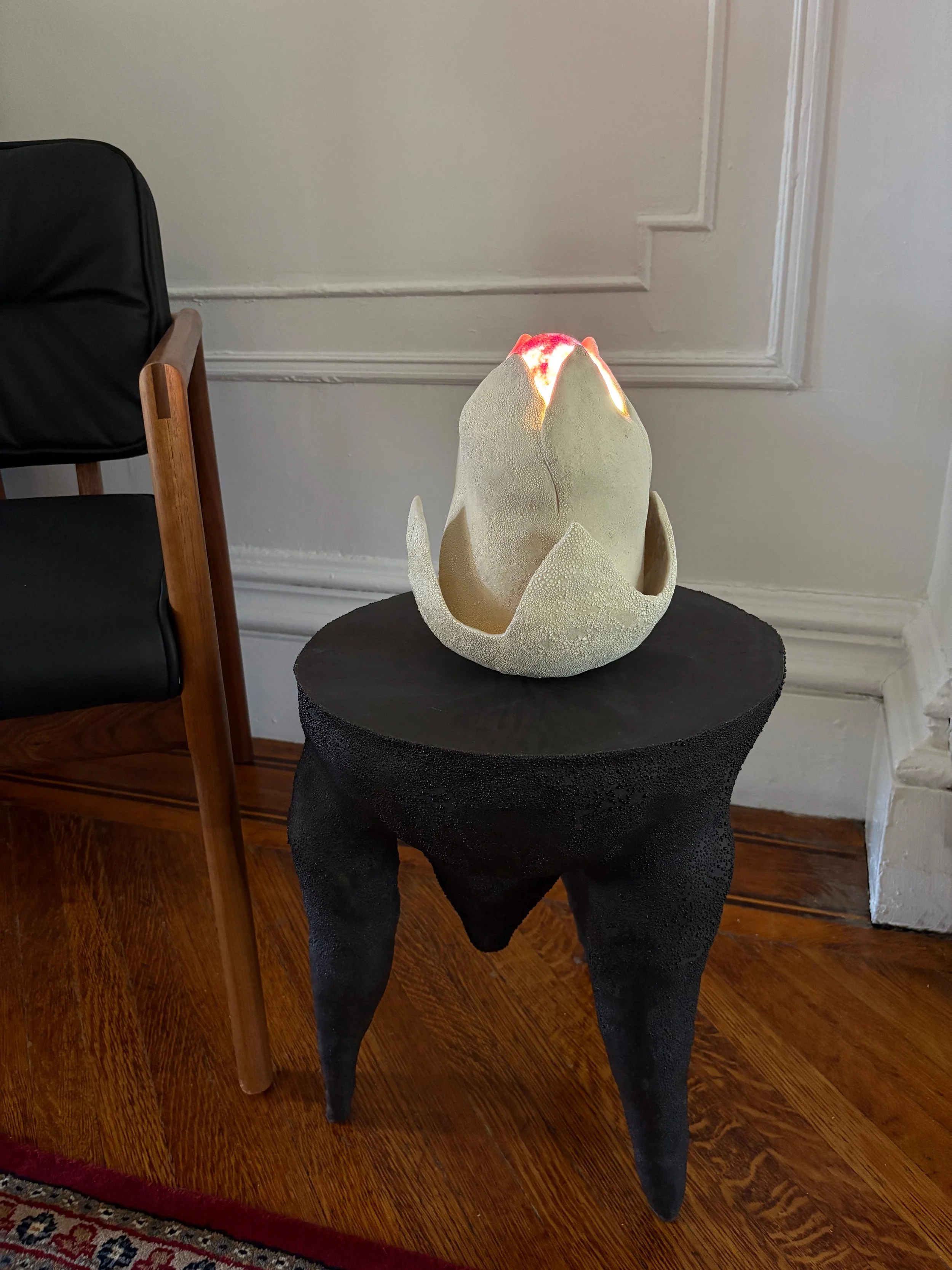 lamp 3 on wide.jpg