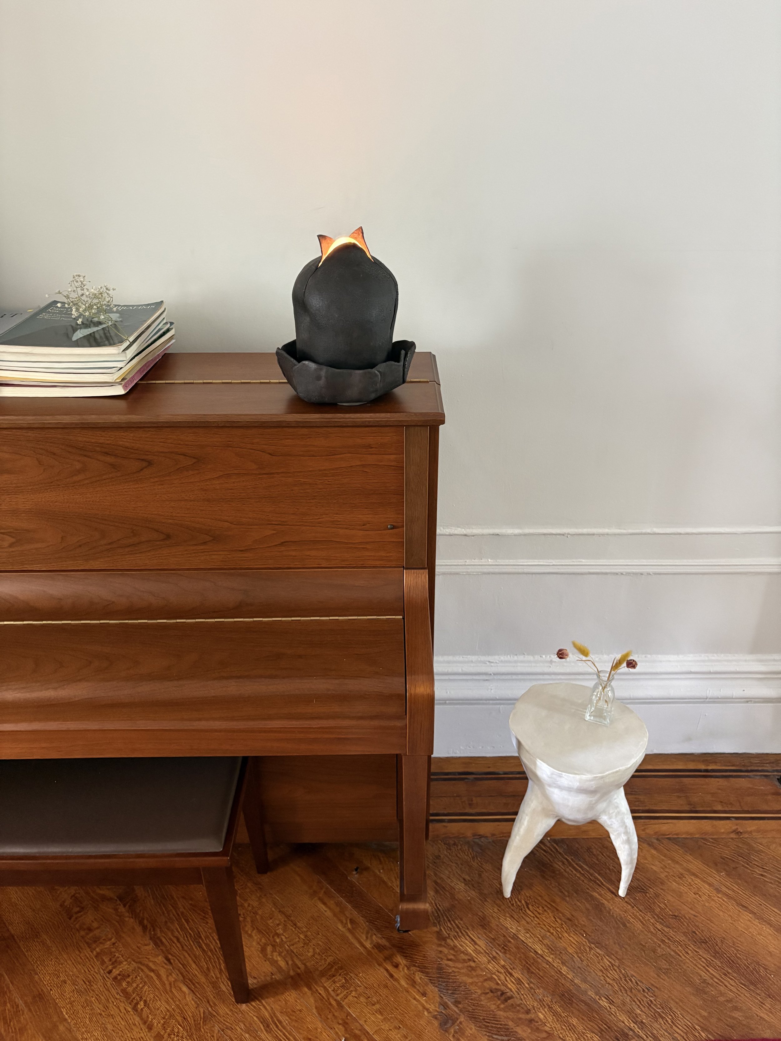 lamp 6 on wide.jpg
