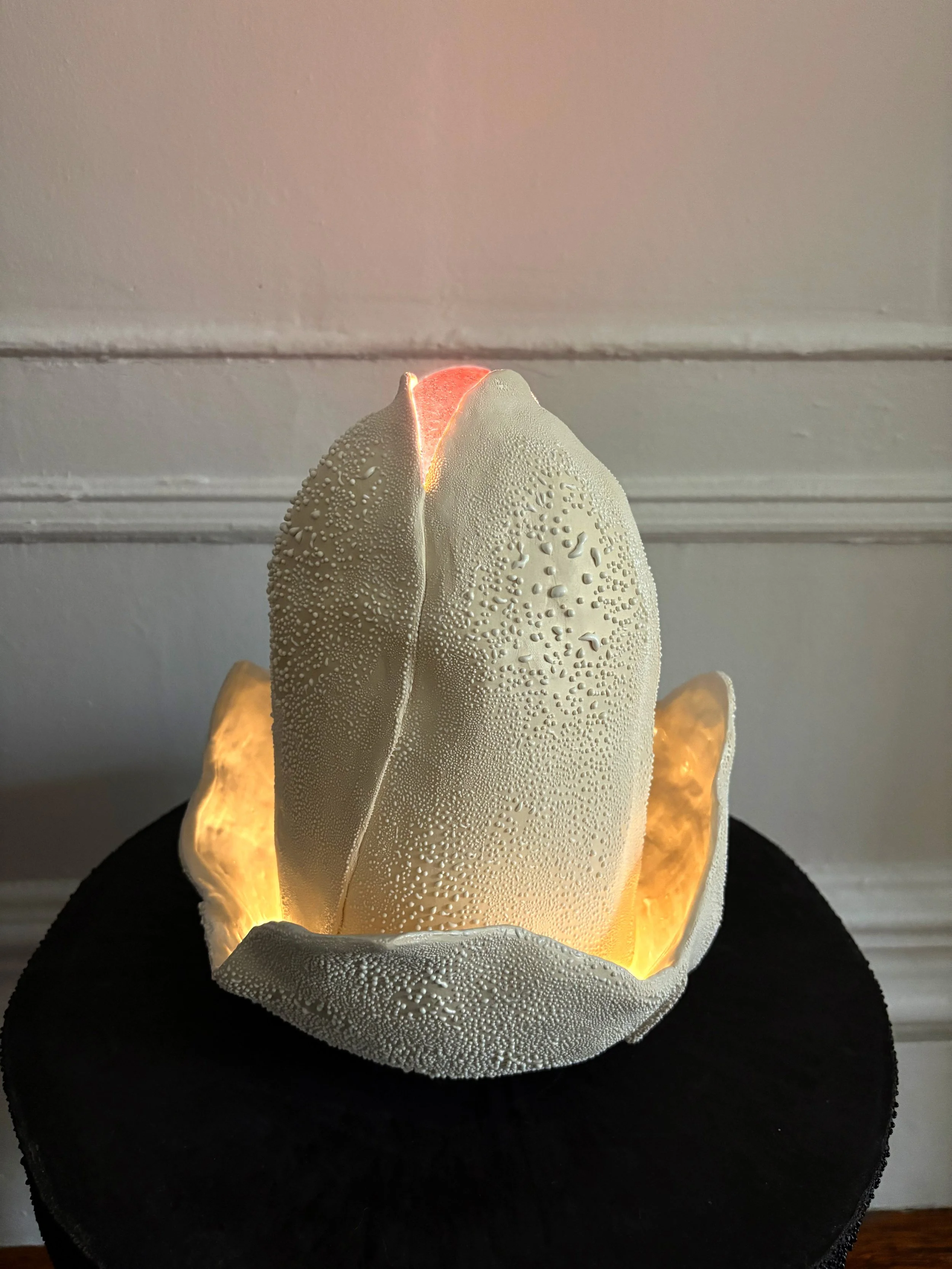 white lamp pink on med.jpg