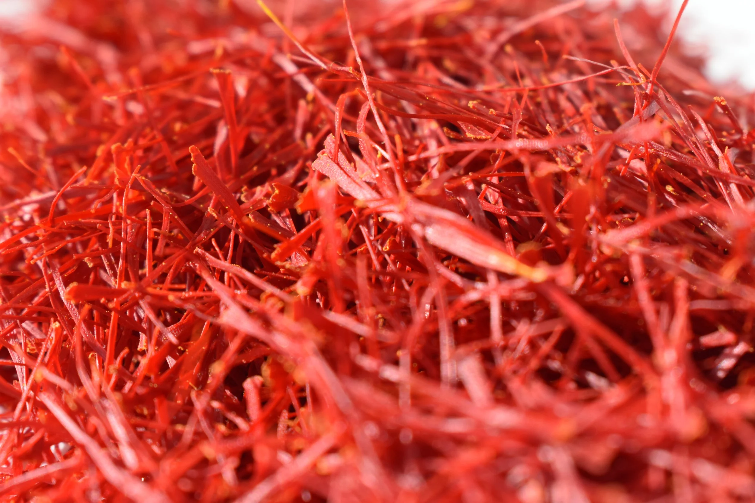 Photo Mar 01 2026, 3 47 18 PM.jpg