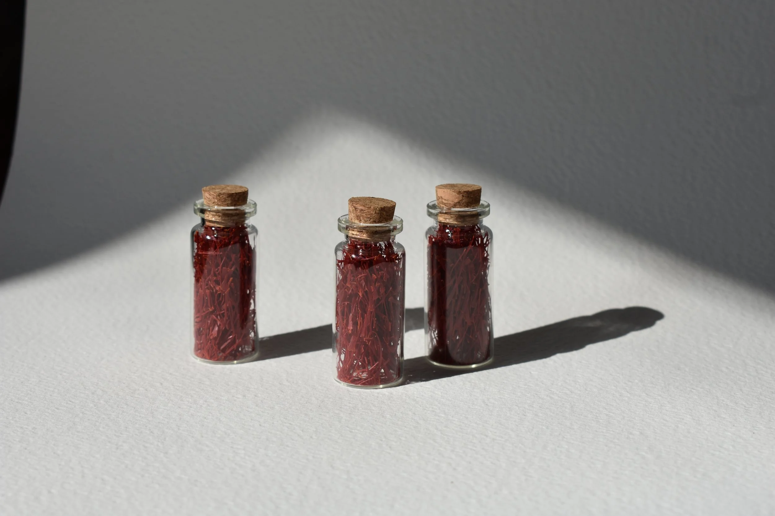 Photo Mar 01 2026, 3 33 10 PM.jpg