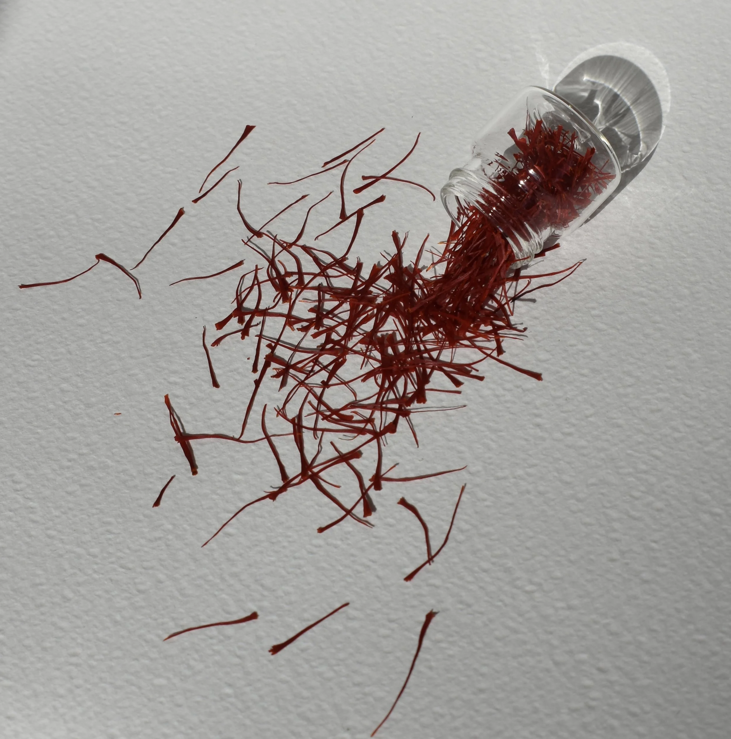 Photo Mar 01 2026, 3 43 41 PM.jpg