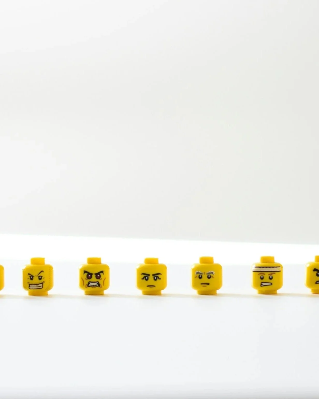 Emotions In Evolution